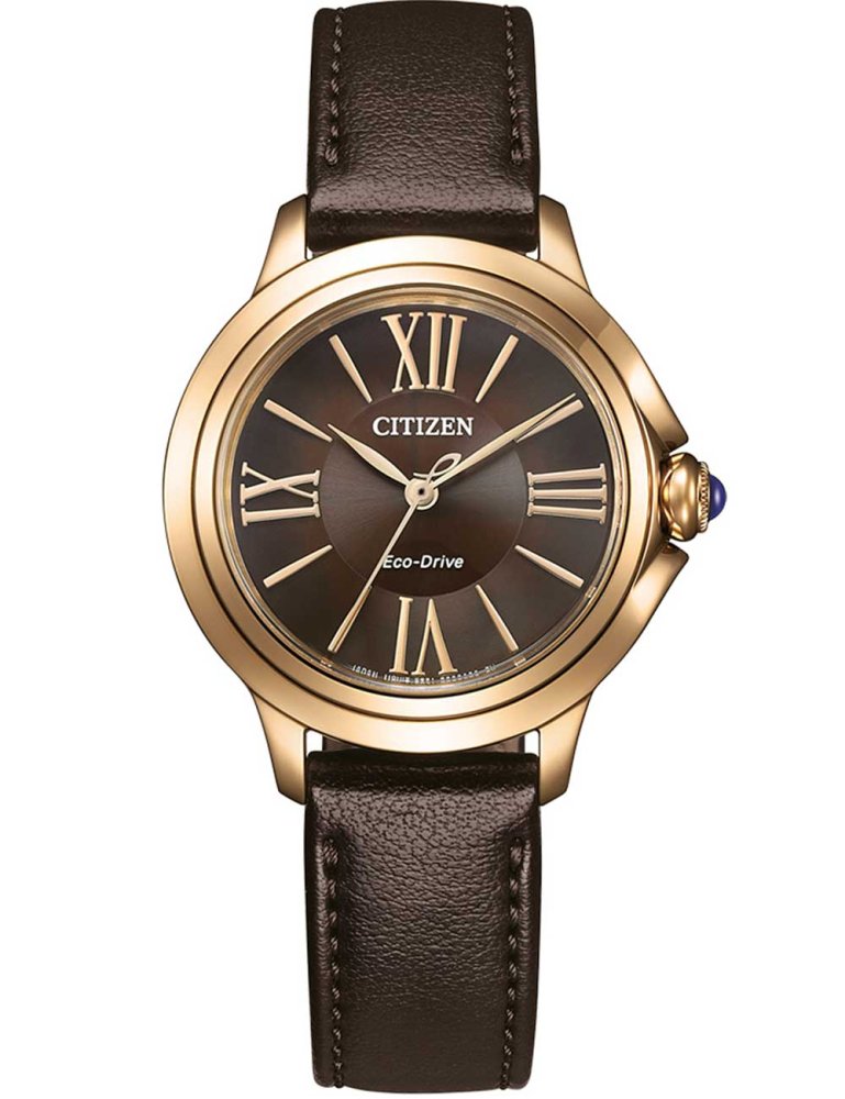 Hodinky Citizen EM1163-09X