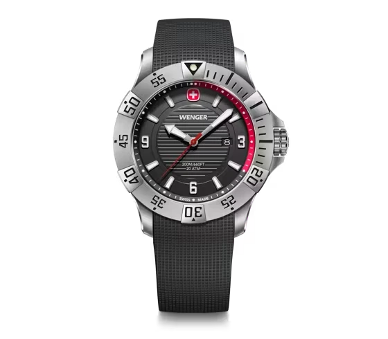 Hodinky Wenger 01.0641.138