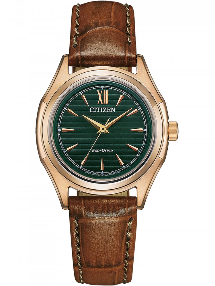 Hodinky Citizen FE2113-16X