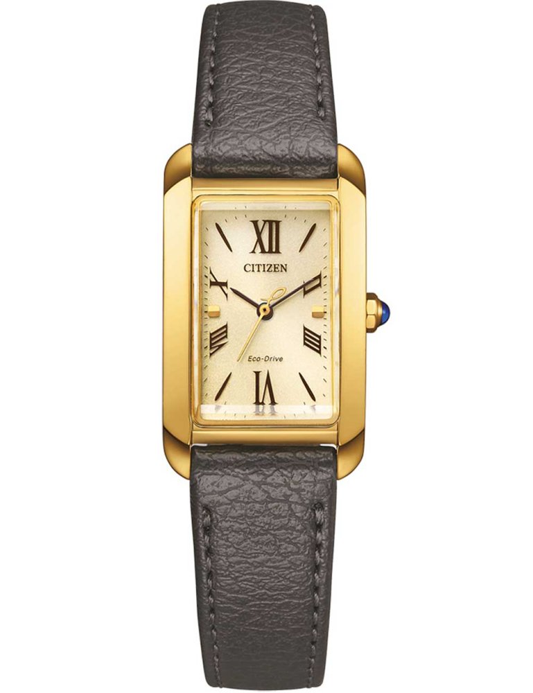 Hodinky Citizen EW5622-09P