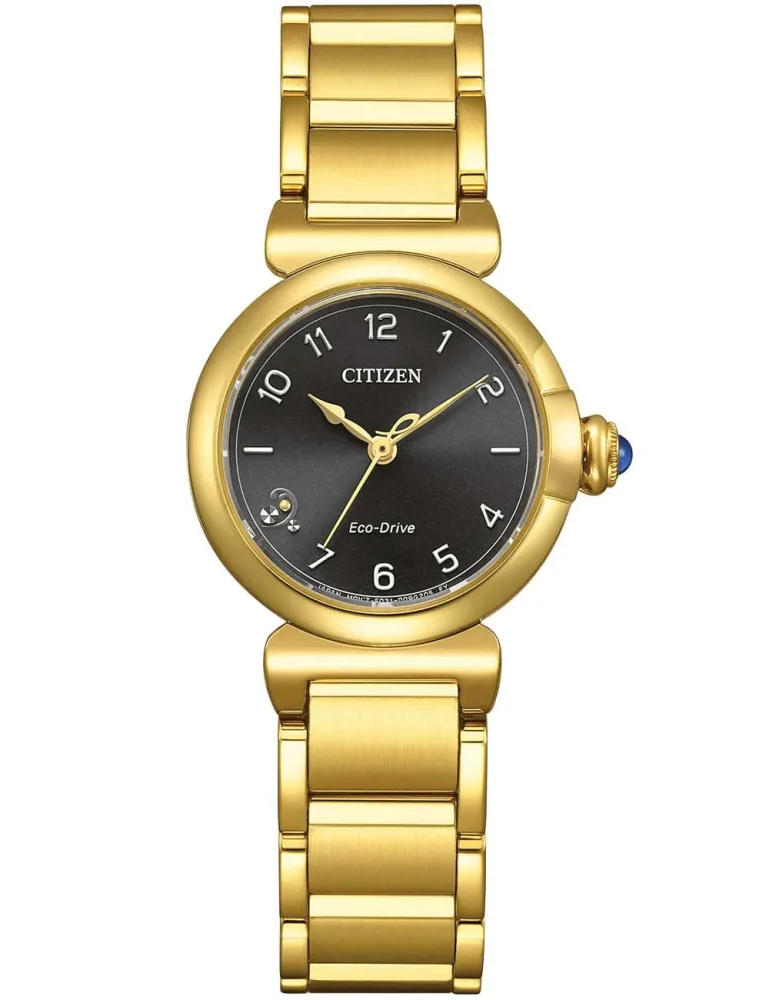 Hodinky Citizen EM1132-88H