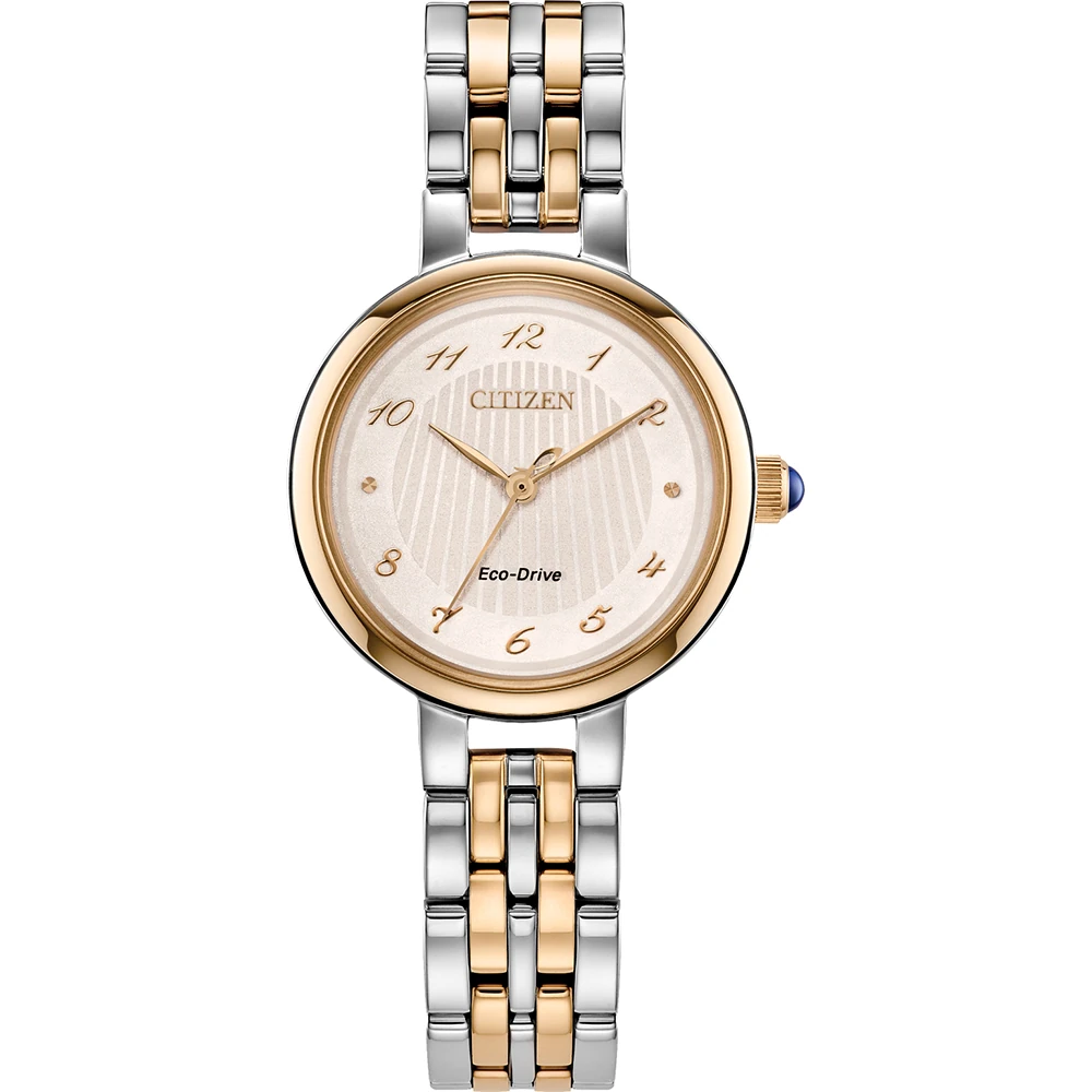 Hodinky Citizen EM0996-84Y