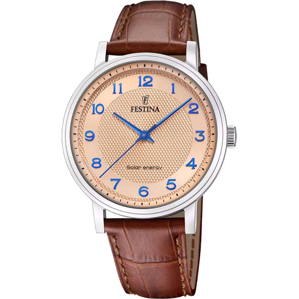 Hodinky Festina 20660/2