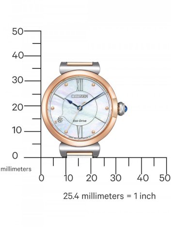 Hodinky Citizen EM1074-82D