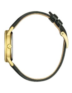 Watches Citizen EW2722-01A