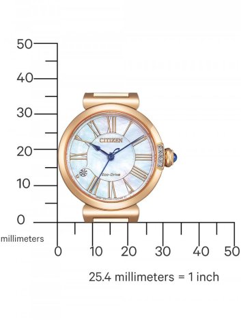 Hodinky Citizen EM1063-89D