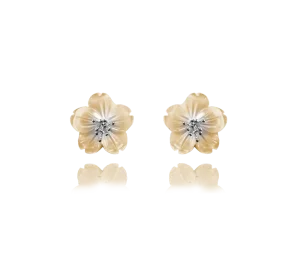 Earrings MINET JMAS5020YE01