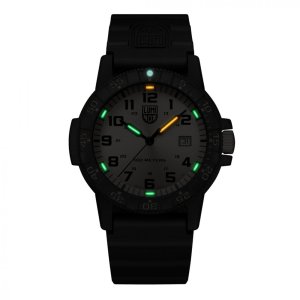Watches Luminox  XS.0325.GP