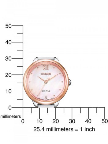 Hodinky Citizen EM0924-85Y