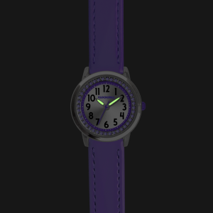 Hodinky Clockodile CWG5231