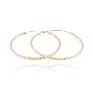 Earrings JVD SVLE0215XD5RO30