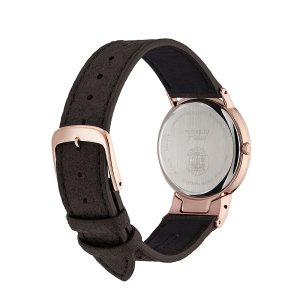 Watches Citizen EG7072-19X