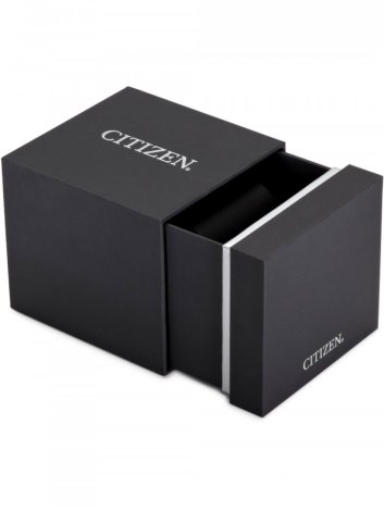 Hodinky Citizen EM0503-83X