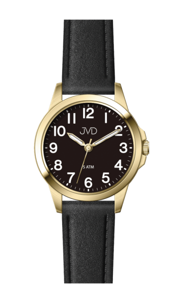 Watches JVD J4197.7