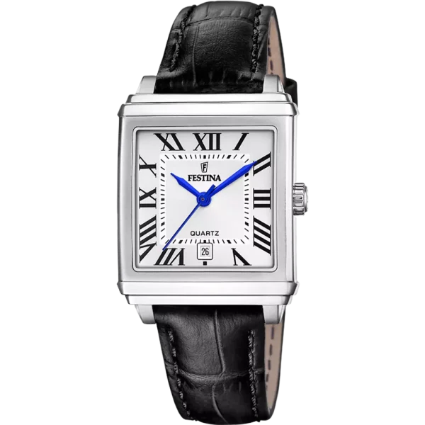 Watches Festina 20682/3