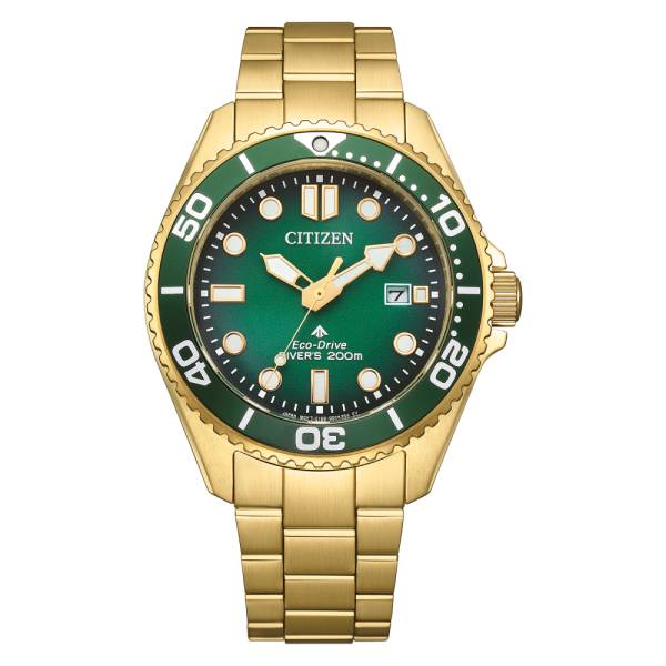 Hodinky Citizen BN0262-59W Promaster Eco-Drive Diver