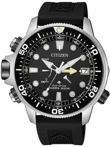 Watches Citizen BN2036-14E