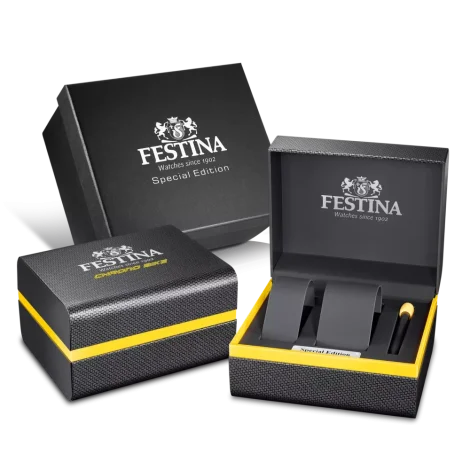 Hodinky Festina 20729/1