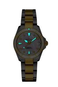 Hodinky Certina C032.007.22.116.00