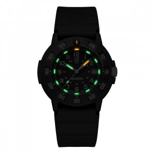 Watches Luminox XS.3013.EVO.S