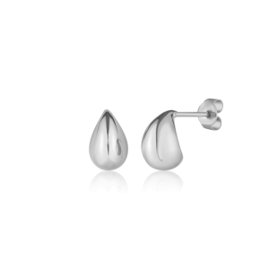 Earrings JVD SVLE3043XF60000
