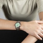 Hodinky Festina 20035/3