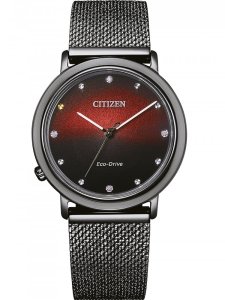 Hodinky Citizen EM1007-47E