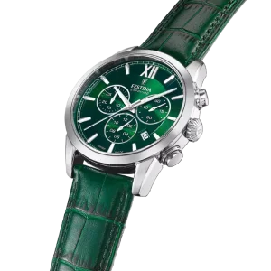 Hodinky Festina 20041/3