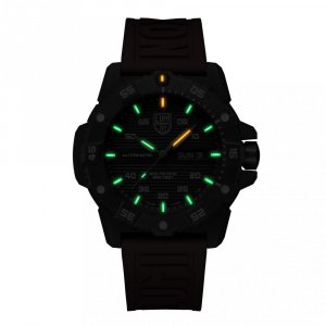 Watches Luminox XS.3875