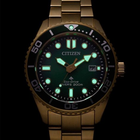 Hodinky Citizen BN0262-59W Promaster Eco-Drive Diver