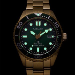 Hodinky Citizen BN0262-59W Promaster Eco-Drive Diver