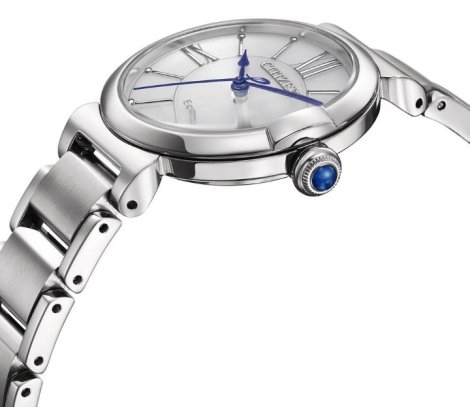 Watches Citizen EM1070-83A