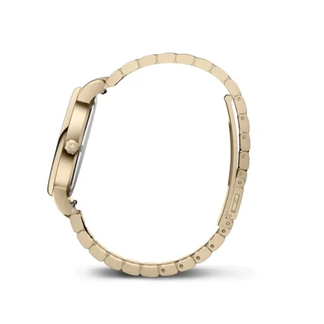 Watches Wenger 60.1721.119