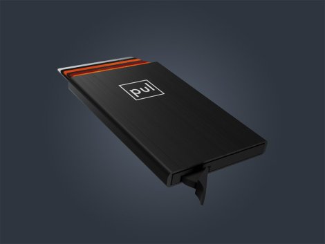 Pouzdro na karty Pularys 174315501 ZEN RFID Černé