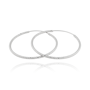 Earrings JVD SVLE0216XD50020