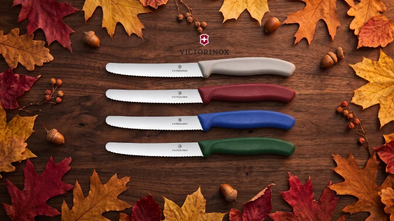 Príbeh farieb: Victorinox Swiss Classic v jesennej edícii 2026 background