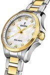 Festina Hodinky 20655/1