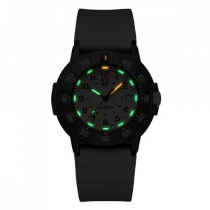 Watches Luminox XS.3010.EVO.S