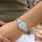 Festina Hodinky 20655/1