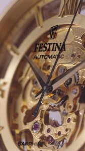 Hodinky Festina 20667/1