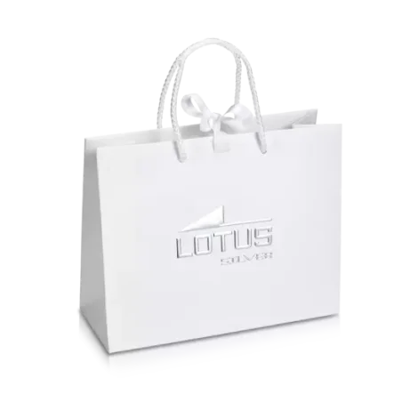 Dámský náhrdelník Lotus Silver Colors LP3560-1/1