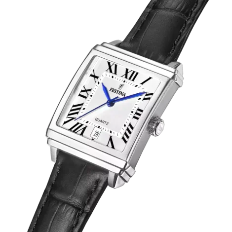 Watches Festina 20682/3