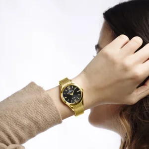 Watches Festina 20077/5