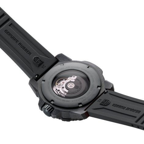 Hodinky Luminox XS.3865.GOLD