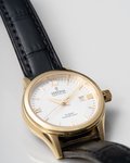 Festina Watches 20011/1