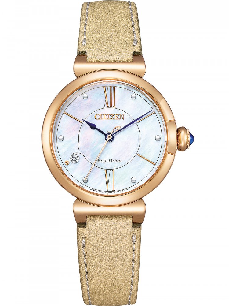 Hodinky Citizen EM1073-18D