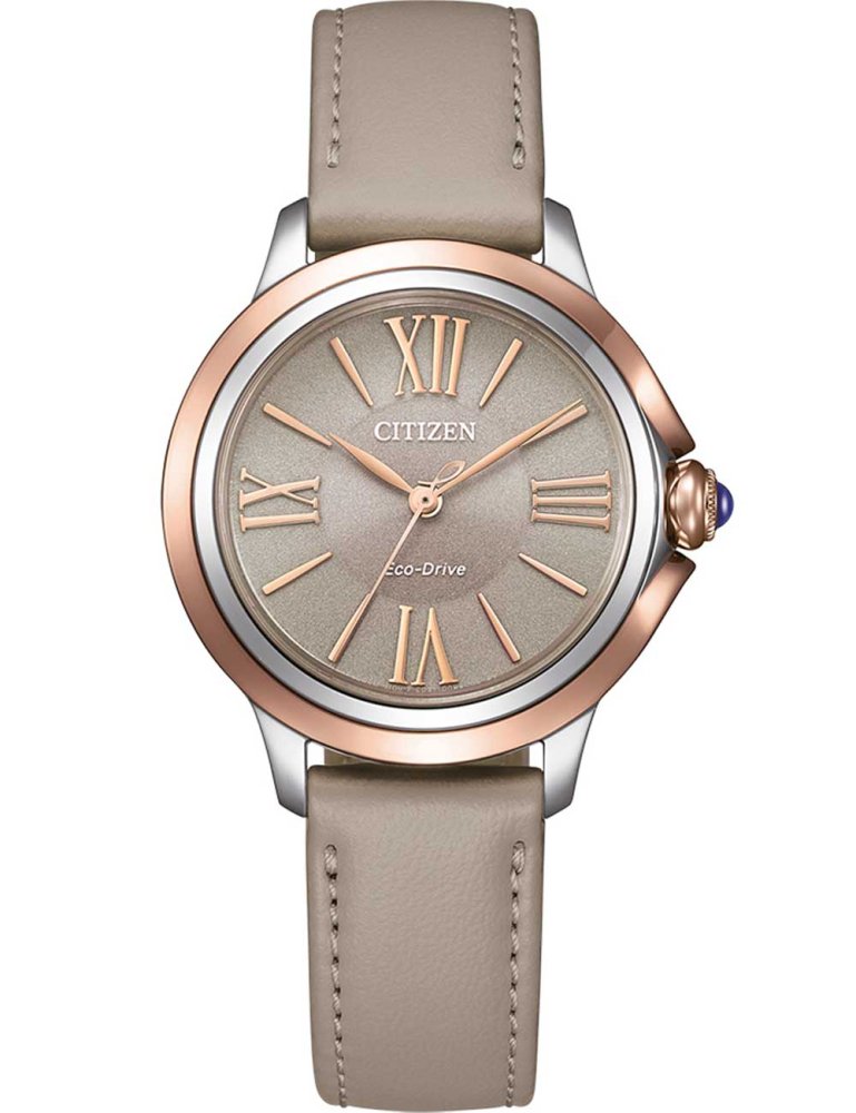 Hodinky Citizen EM1166-01Z