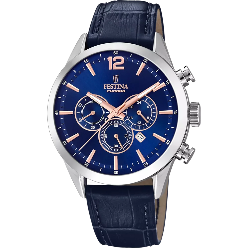 Hodinky Festina 20542/4
