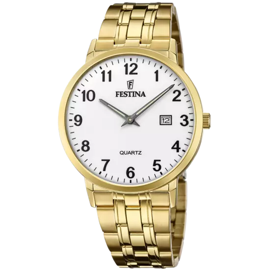 Hodinky Festina 20513/1