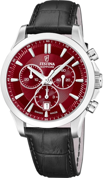 Hodinky Festina 20094/6